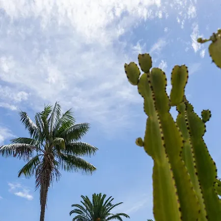 Espectacular Casa Con Jardin 