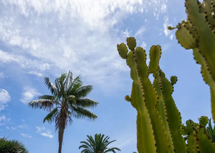 Espectacular Casa Con Jardin 