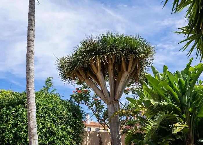 Espectacular Casa Con Jardin 