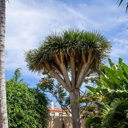 Espectacular Casa Con Jardin 